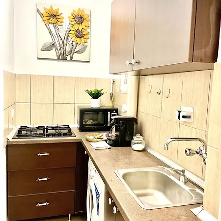 Baroq Central City Apartment Apartment Bucharest